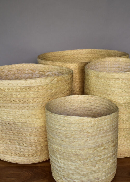 Canasto de palma cocida